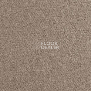 Ковролин Brintons True Velvet True Velvet Chrome фото 1 | FLOORDEALER